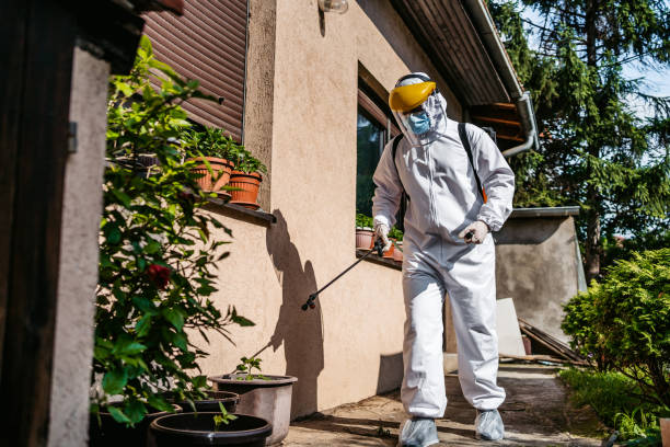 Best Pest Removal Services  in Mount Ida, AR