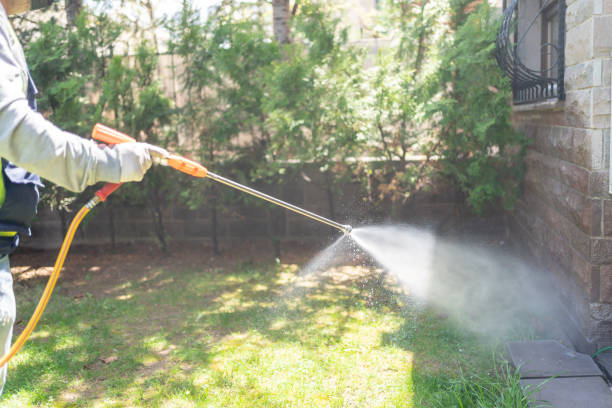 Best Affordable Pest Control Services  in Mount Ida, AR