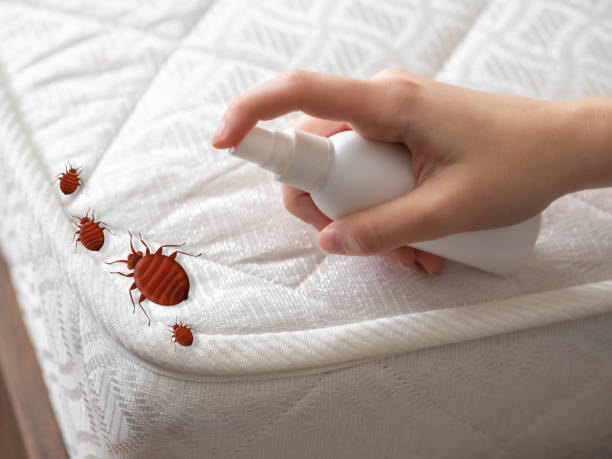 Pest Control for Restaurants in Mount Ida, AR
