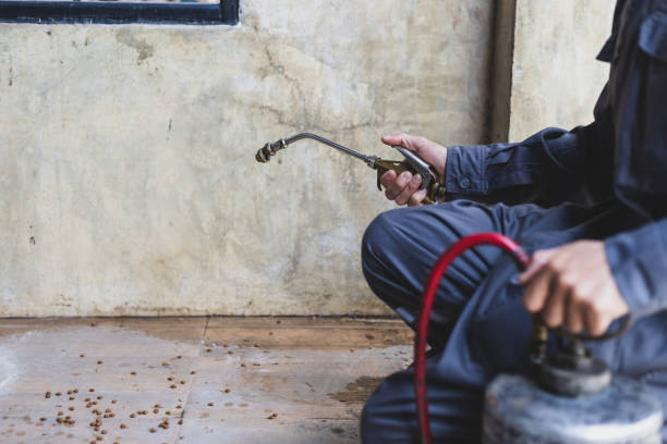 Best Pest Control for Restaurants  in Mount Ida, AR
